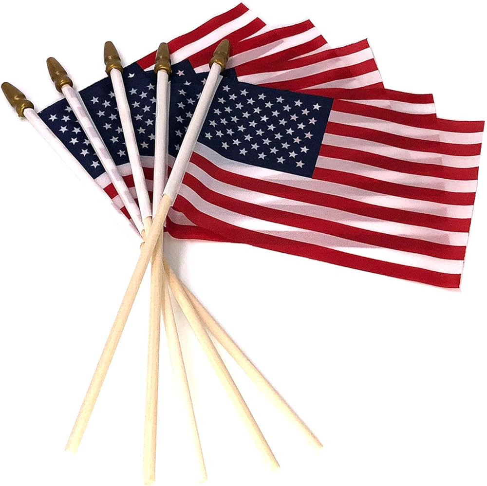 Pack of 100, Small US American Handheld Flags, 4x6 Inch Golden Spear Tip, Stick Flags by Crystal ... | Amazon (US)