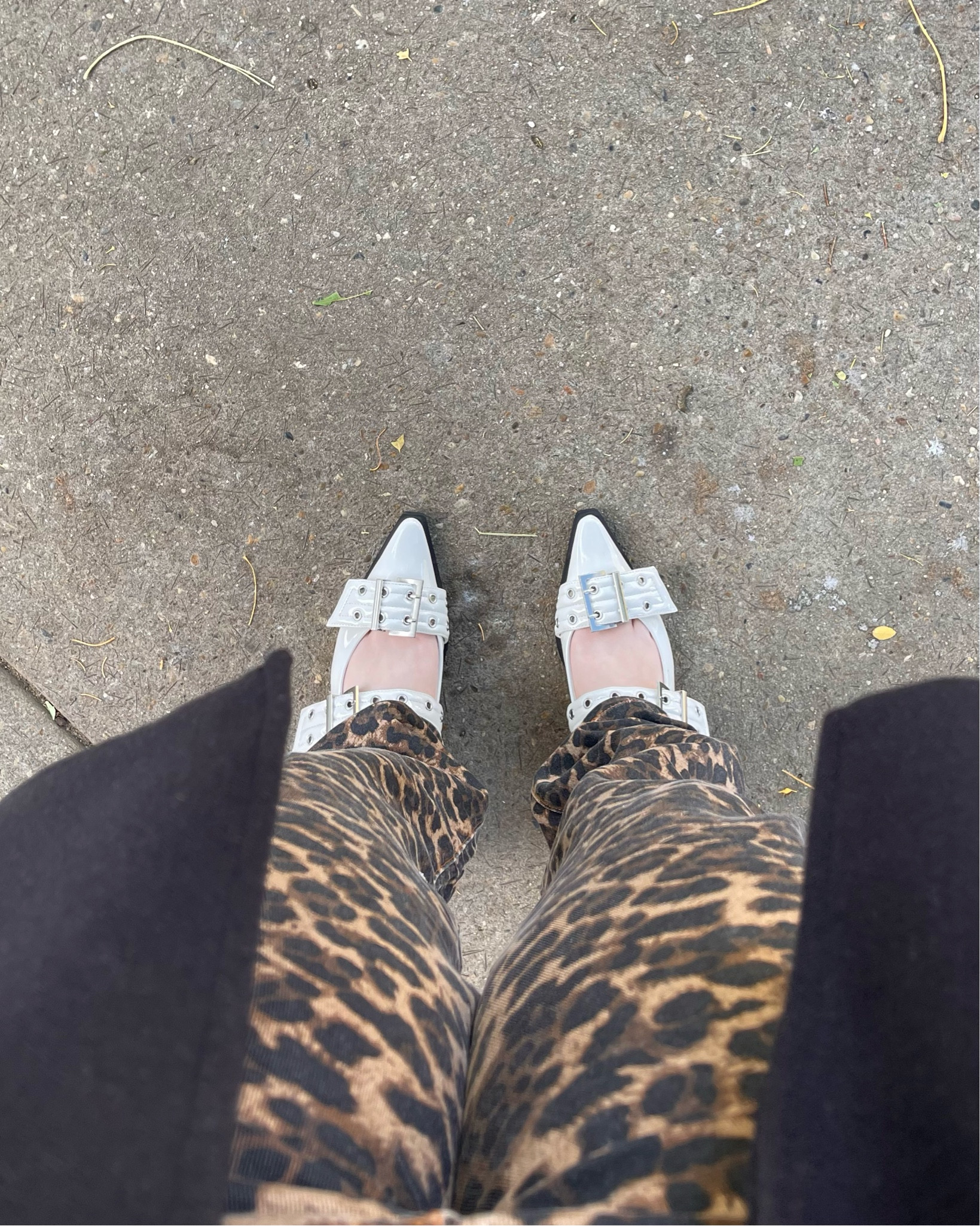 buckle flats + leopard print! it’s giving pinterest 🖤

#LTKshoes #LTKaustralia