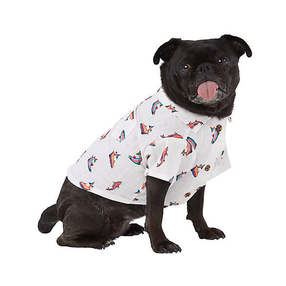 Top Paw® Trout Button Up Dog Shirt | PetSmart