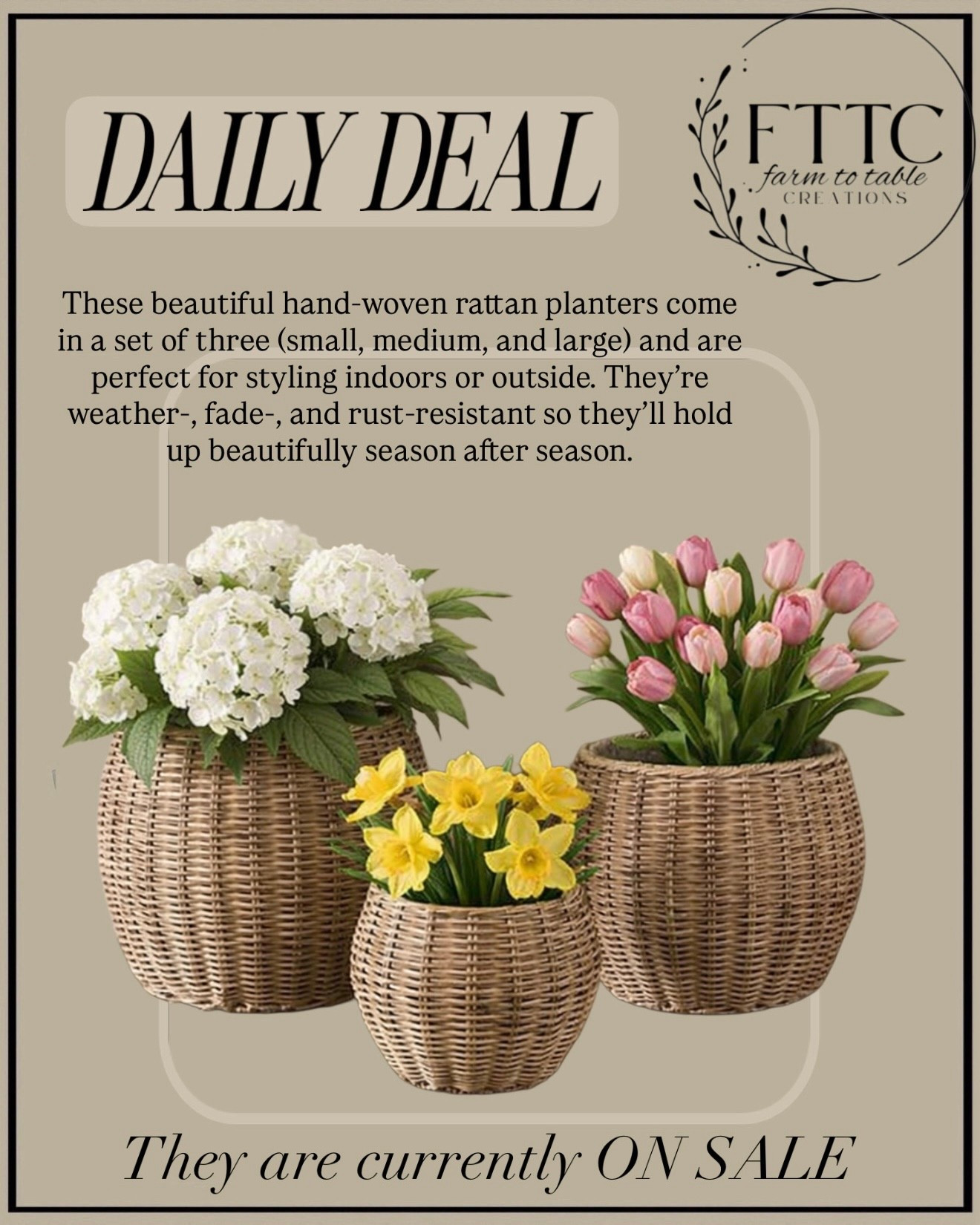 Neutral Woven Rattan Planter Set for Indoor or Outdoor Styling (On Sale)

Follow @farmtotablecreations on Instagram for daily home finds, decor inspiration, and the best sales.

This woven rattan planter set is currently on sale and such a beautiful way to add texture and warmth to your space. The set includes three sizes that are perfect for layering on a front porch, patio, or inside your home with your favorite plants or florals. They’re weather-, fade-, and rust-resistant, making them a great option for both indoor and outdoor styling.

#planters #outdoorplanters #rattanplanters #frontporchdecor #outdoordecor #patiodecor #gardenplanters 

#LTKHome #LTKSaleAlert