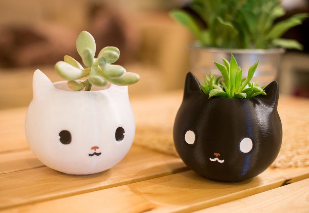 Cat Planter, Black cat, Office decor for women, Valentine's Day gift, Cubicle Decor, Cat Gift, de... | Etsy (CAD)