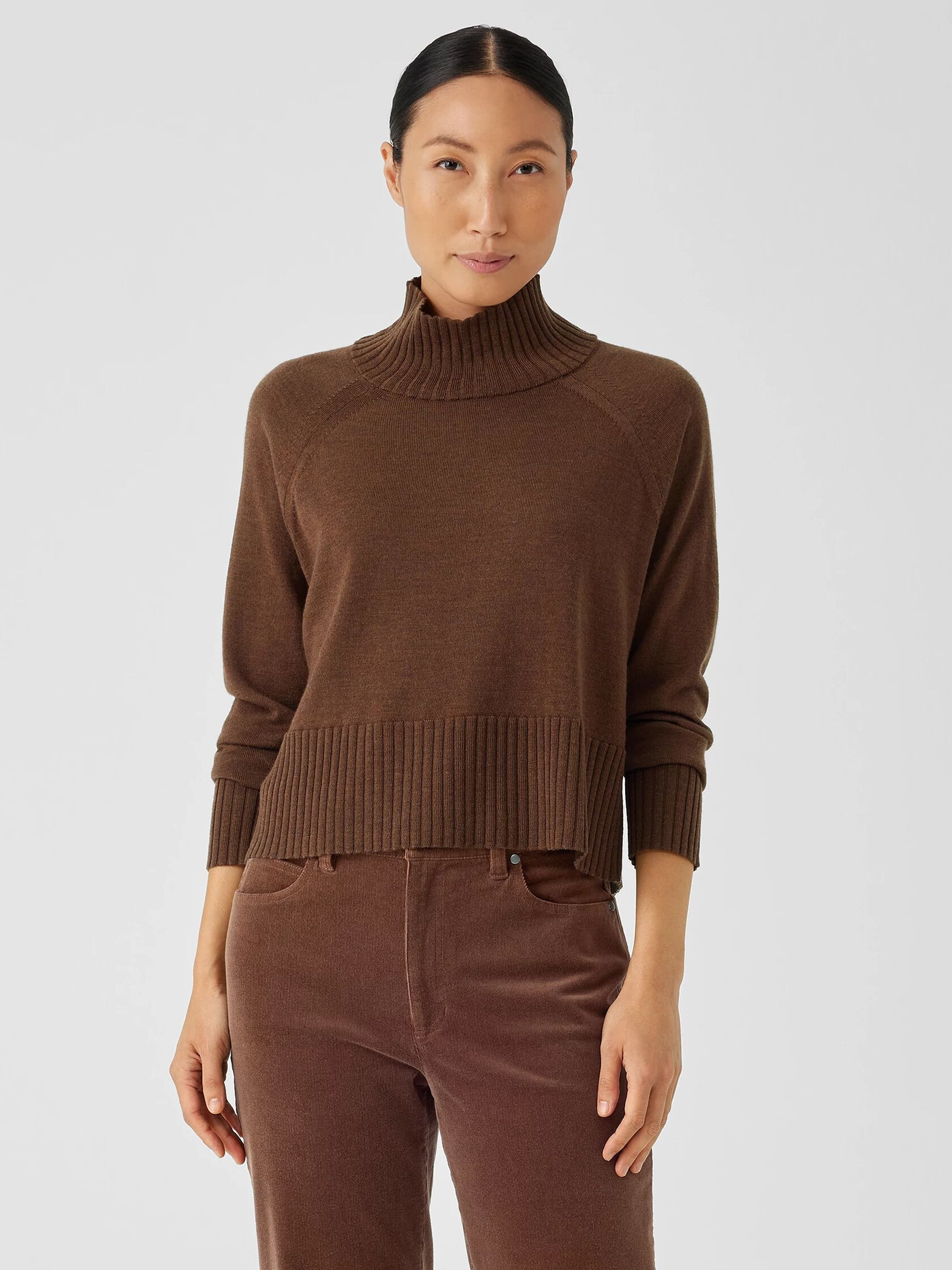 Merino Jersey Turtleneck Top in Regenerative Wool | Eileen Fisher