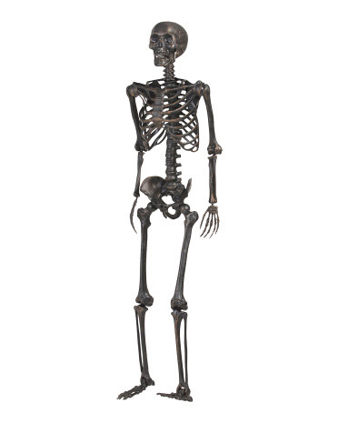 61in Life Size Posable Skeleton Decor | Halloween | Marshalls | Marshalls