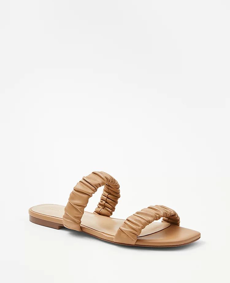 Leather Ruched Flat Slide Sandals | Ann Taylor (US)