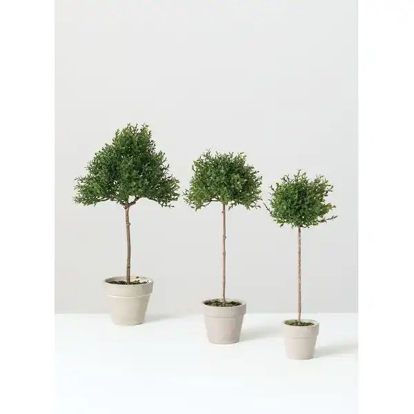 Sullivans Artificial Set of 3 Tea Leaf Topiary 14.5"H, 13"H & 12"H Green - 14.5"H x 6.5"L x 6.5"W | Bed Bath & Beyond