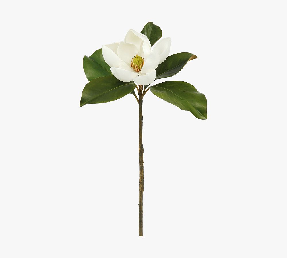 Faux Magnolia Bloom Dozen Stems | Pottery Barn (US)
