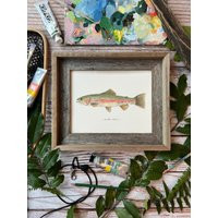 Rainbow Trout, Fish, Freshwater Fish, Fish Painting, Trout Fly Fishing, 8x10, 11x14, Art Print | Etsy (US)