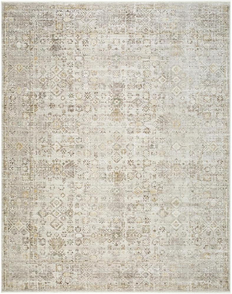 Livabliss x Galey Alix Myrtle Avenue I Vintage Medallion Area Rug, 7'10" x 10'2" (8' x 10'), Taup... | Amazon (US)