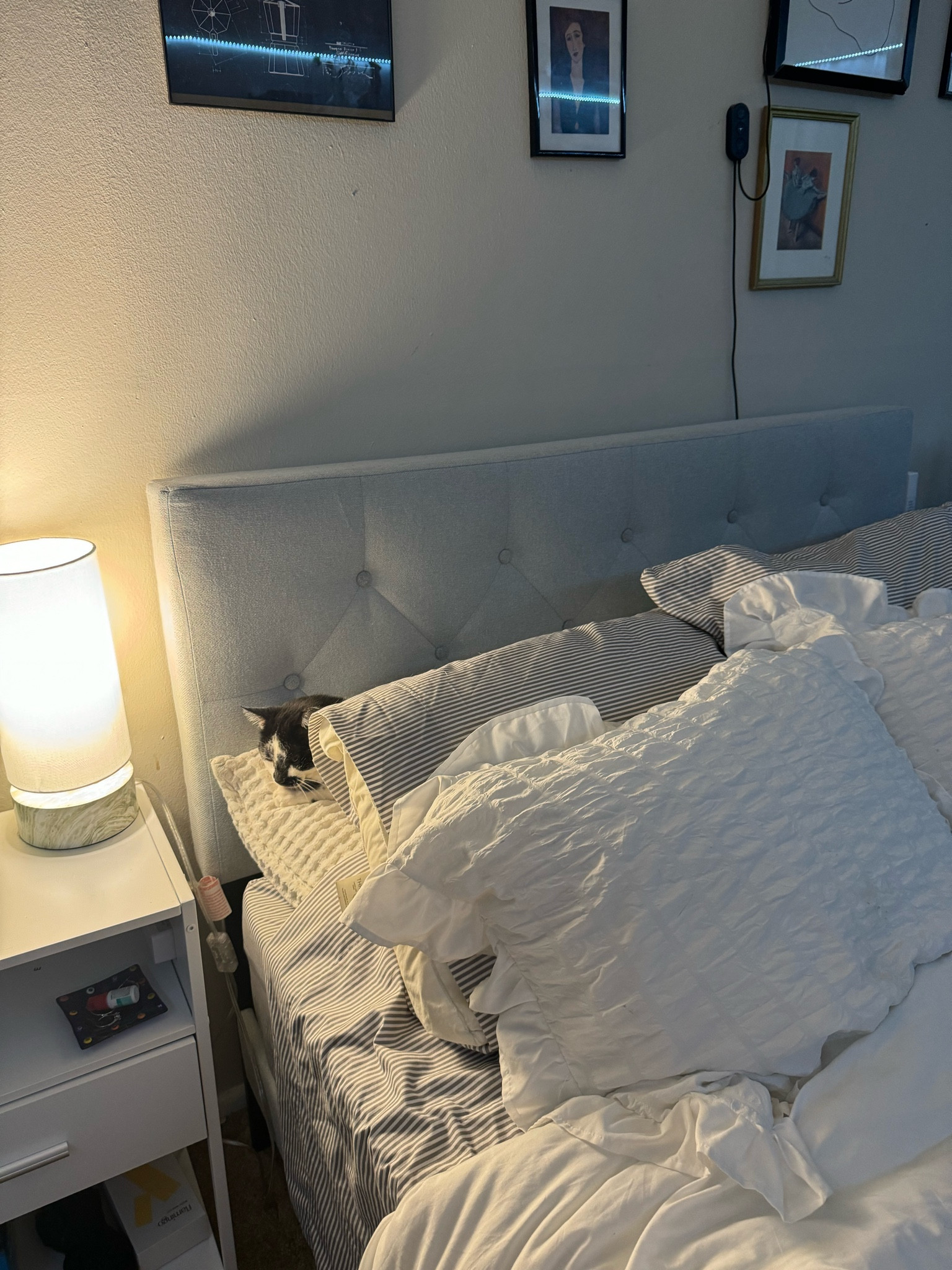 Full size bedframe with headboard 

#LTKHome #LTKBacktoSchool