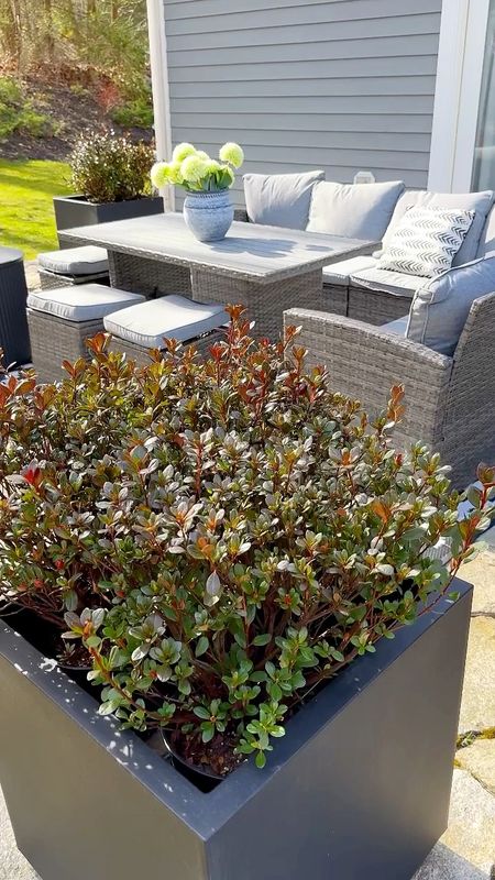 Refreshing my patio with these gorgeous planters from Veradek! Medium sized block series cubed. Home refresh. Patio refresh. Outdoor decor. Outdoor season. Planters. Affordable home  pop

#LTKhome #LTKVideo