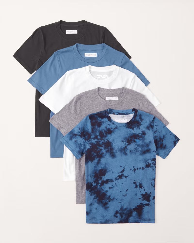 5-pack icon crew tee | Abercrombie & Fitch (US)