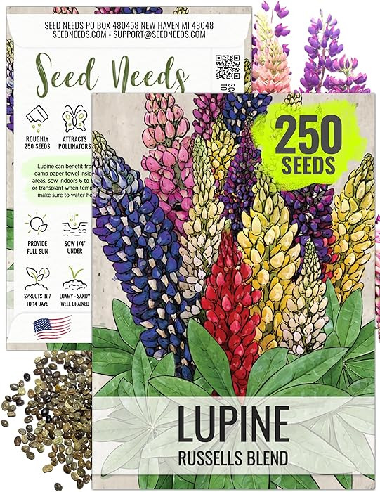 Seed Needs Lupine Seeds for Planting Russells Blend - Heirloom & Open Pollinated Multicolor Flowe... | Amazon (US)