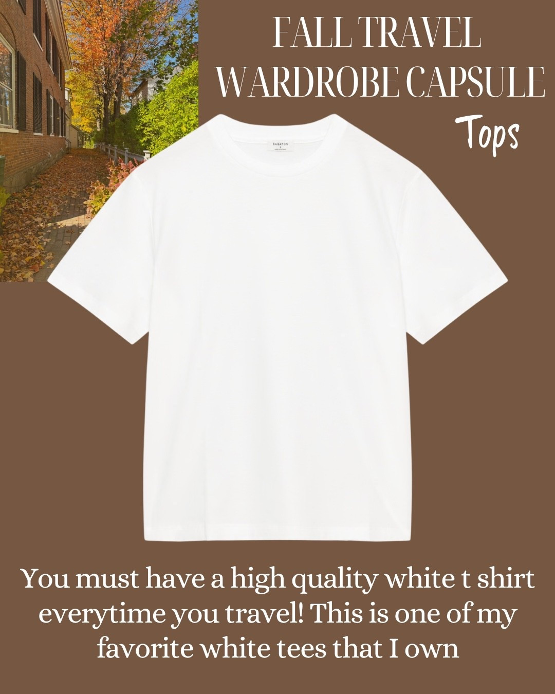 Classic White T shirt @Aritzia