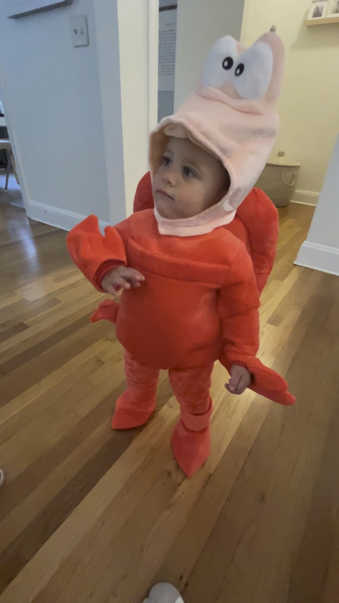 Family Halloween Costume still in time for Halloween 

#LTKHalloween #LTKKids #LTKFamily