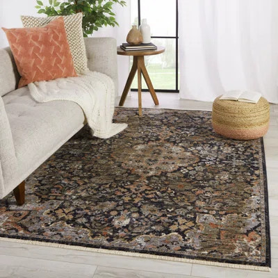 Finnuala Soft Power-Loomed Oriental Area Rug with Distressed Medallion | Wayfair North America
