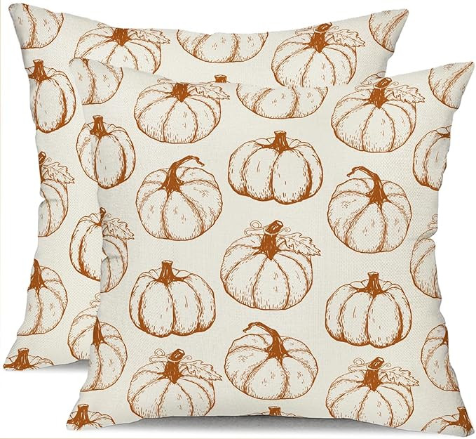 DFXSZ Fall Pillow Covers 18x18 inch Set of 2 Fall Decoration Pumpkin Decor Autumn Outdoor Pillow ... | Amazon (US)