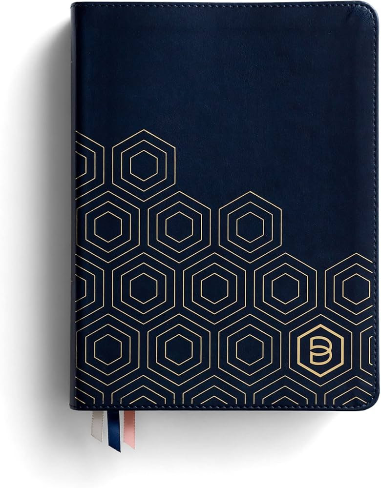 One Step Closer Bible NLT - Navy | Amazon (US)