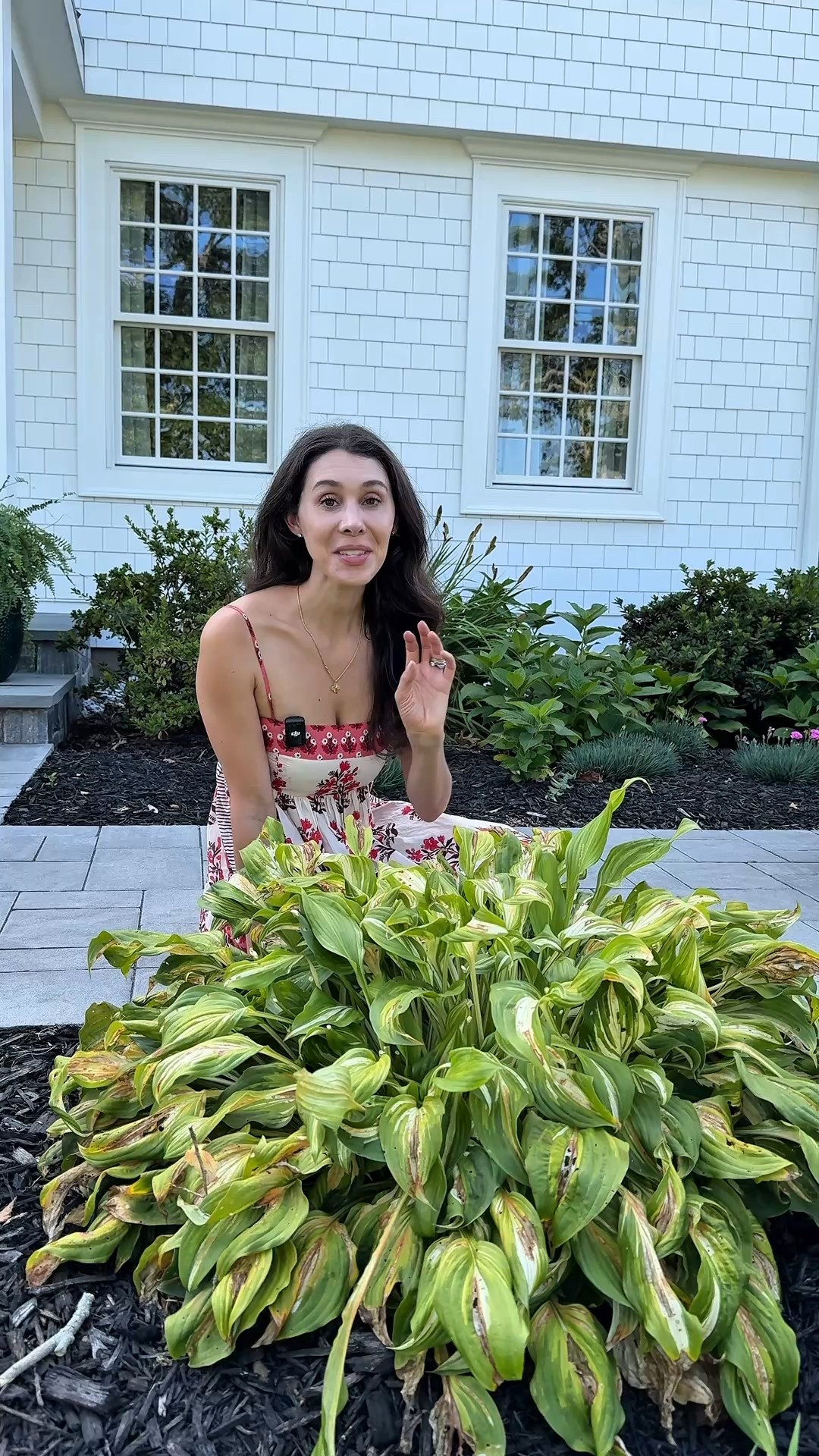 Goodbye slugs!

#LTKHome #LTKSeasonal