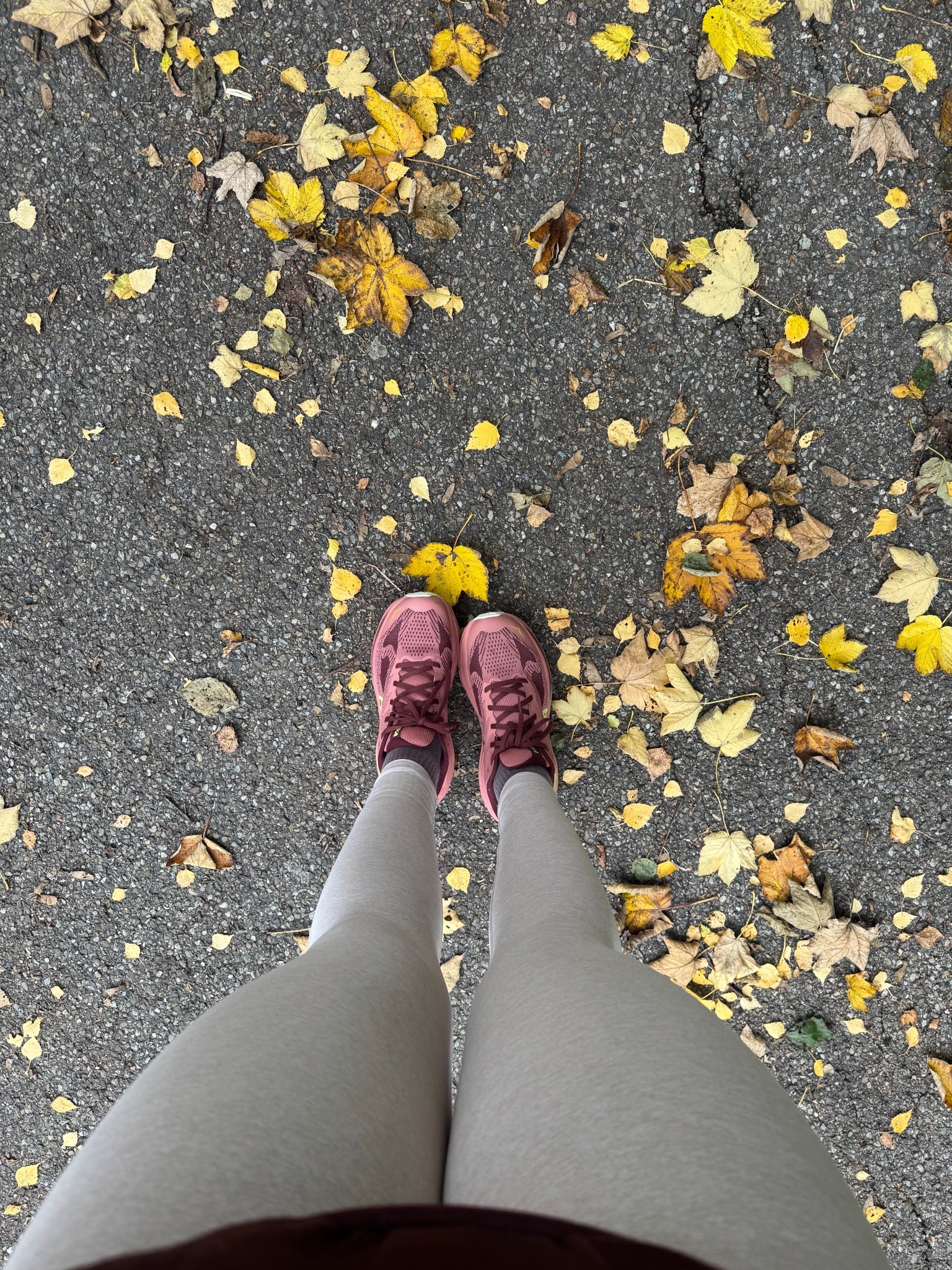 new Hokas for fall 🍂 



#LTKShoeCrush #LTKStyleTip #LTKActive