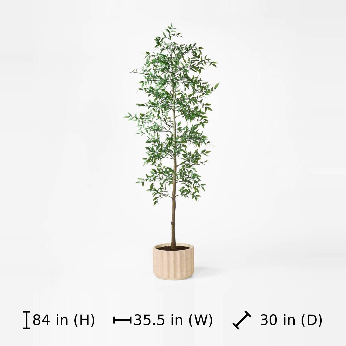Shady Lady Tree in Ceramic Pot - Threshold\u2122 designed with Studio McGee | Target