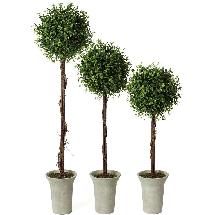 Sullivans Artificial Set of 3 Boxwood Topiary Tree 22"H, 25"H & 30"H Green | Target