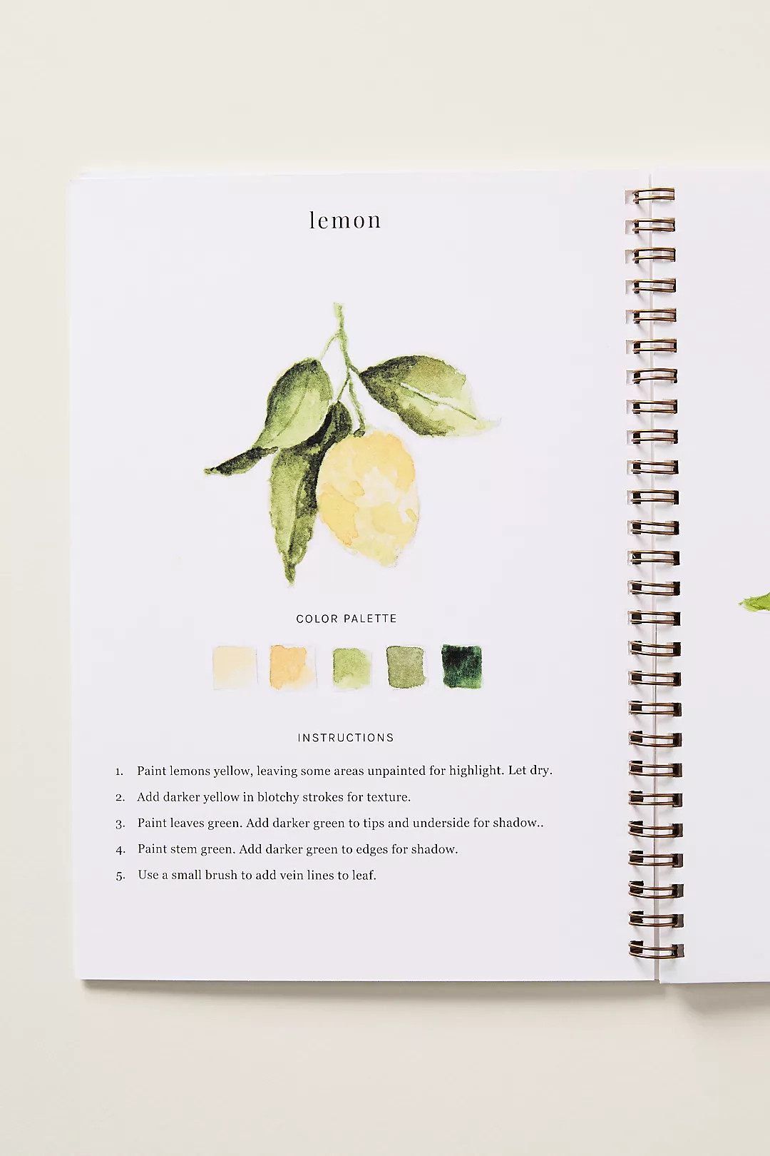 Emily Lex Studio Watercolor Workbook | Anthropologie (US)