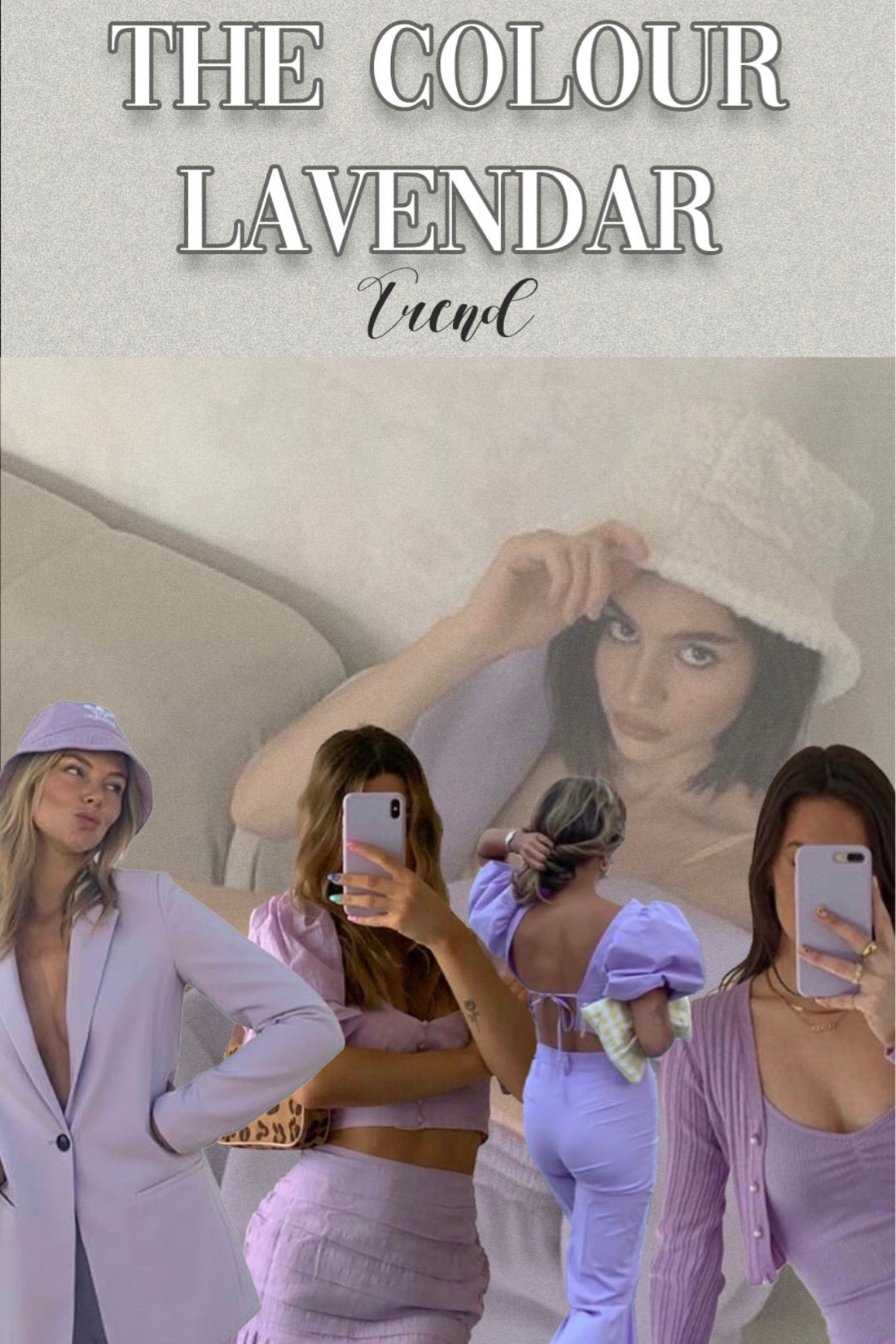Lavender Trend