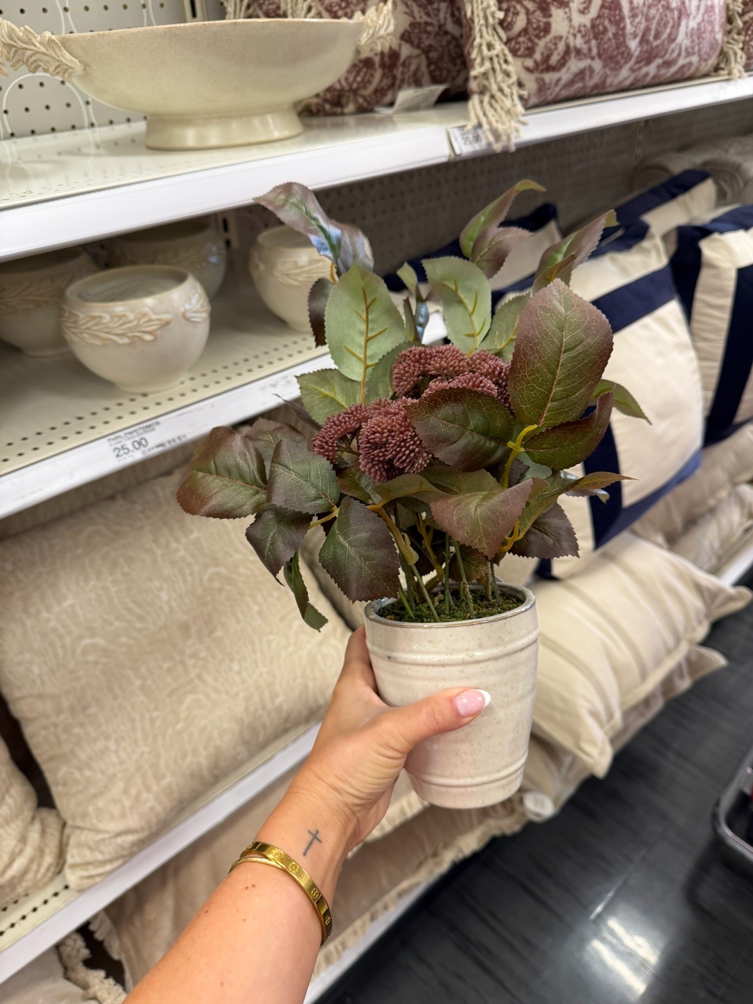 The cutest plant! It would be good for fall 🤍

#LTKSeasonal #LTKdayinmylife #LTKHome