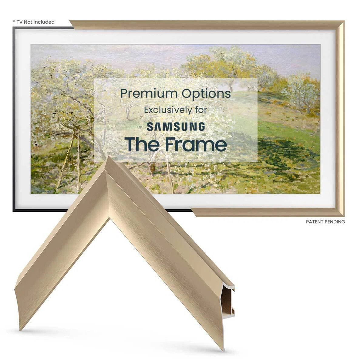 Alloy Prismatic Deco TV Frame for Samsung Frame TV and Frame Pro | Wayfair North America