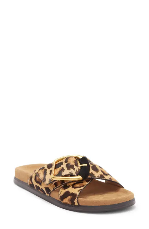 Sam Edelman Darla Genuine Calf Hair Slide Sandal in Cyprus Tan Calf Hair at Nordstrom, Size 11 | Nordstrom