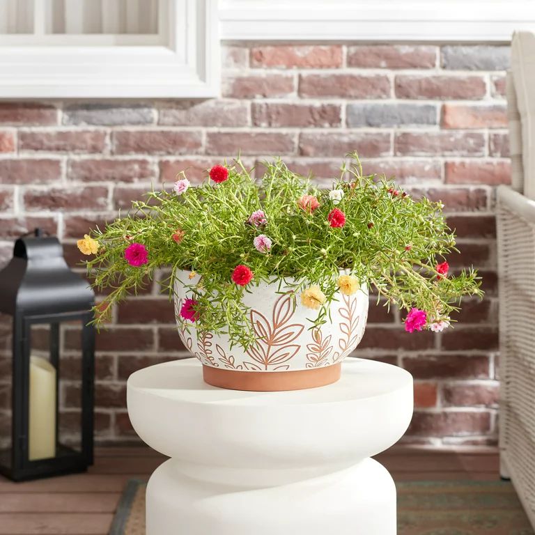Better Homes & Gardens 10”D x 6”H Round Terracotta Planter, Botanical | Walmart (US)