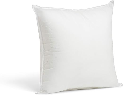 Foamily Premium Hypoallergenic Stuffer Pillow Insert Sham Square Form Polyester, 12" L X 12" W, S... | Amazon (US)
