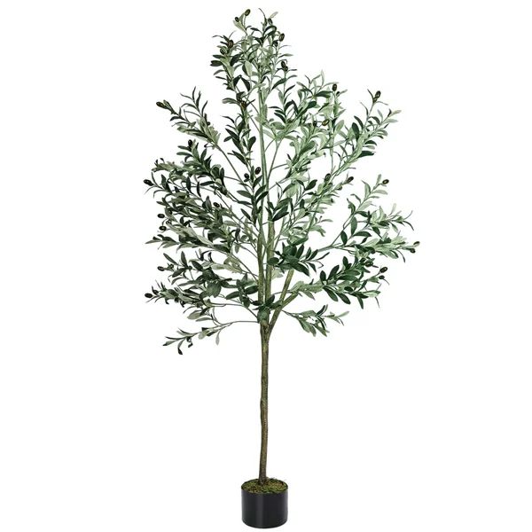 72" Artificial Olive Tree In Pot | Wayfair North America