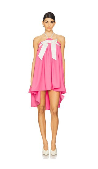 Penelope Dress in Pink | Revolve Clothing (Global)