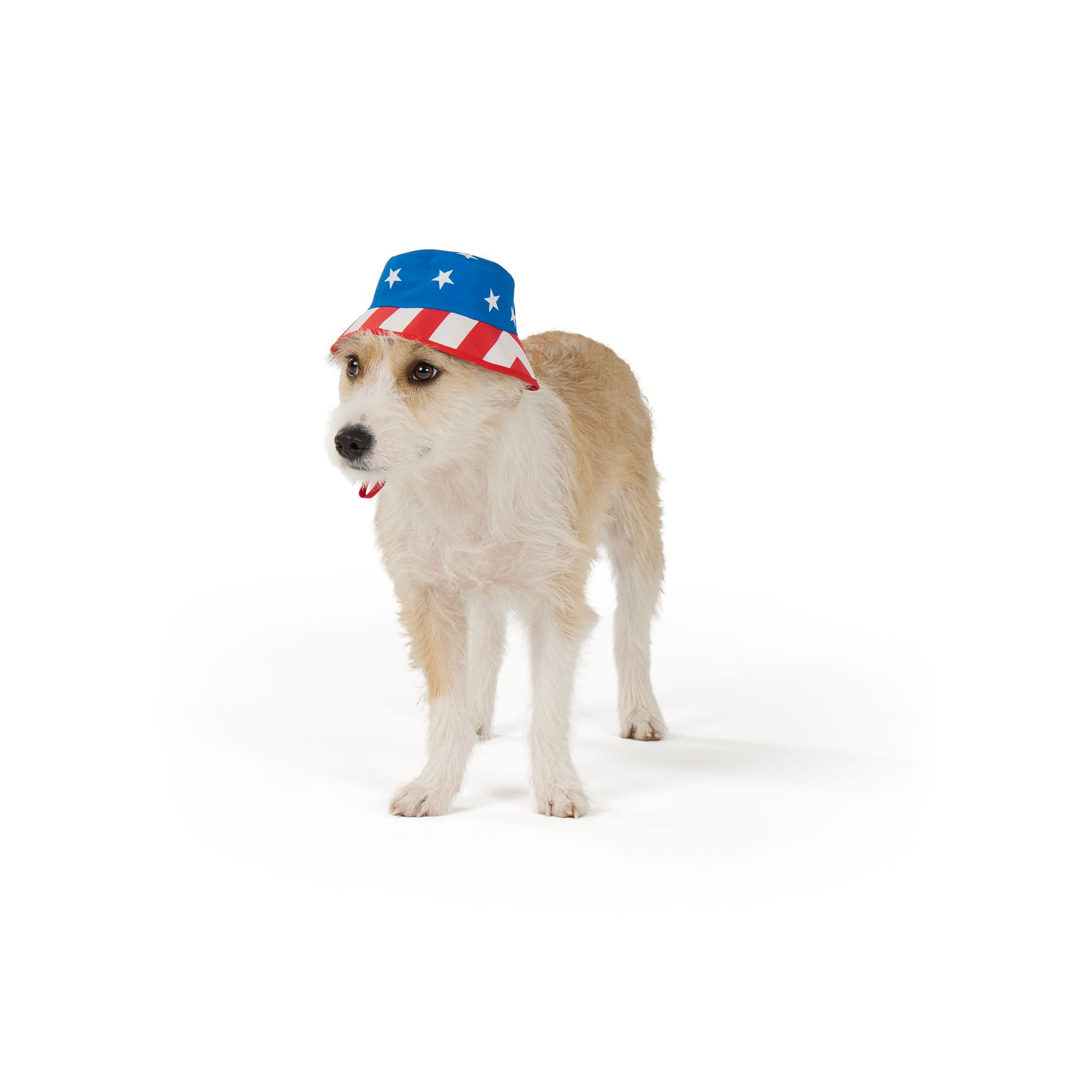 Top Paw® American Flag Bucket Hat | PetSmart