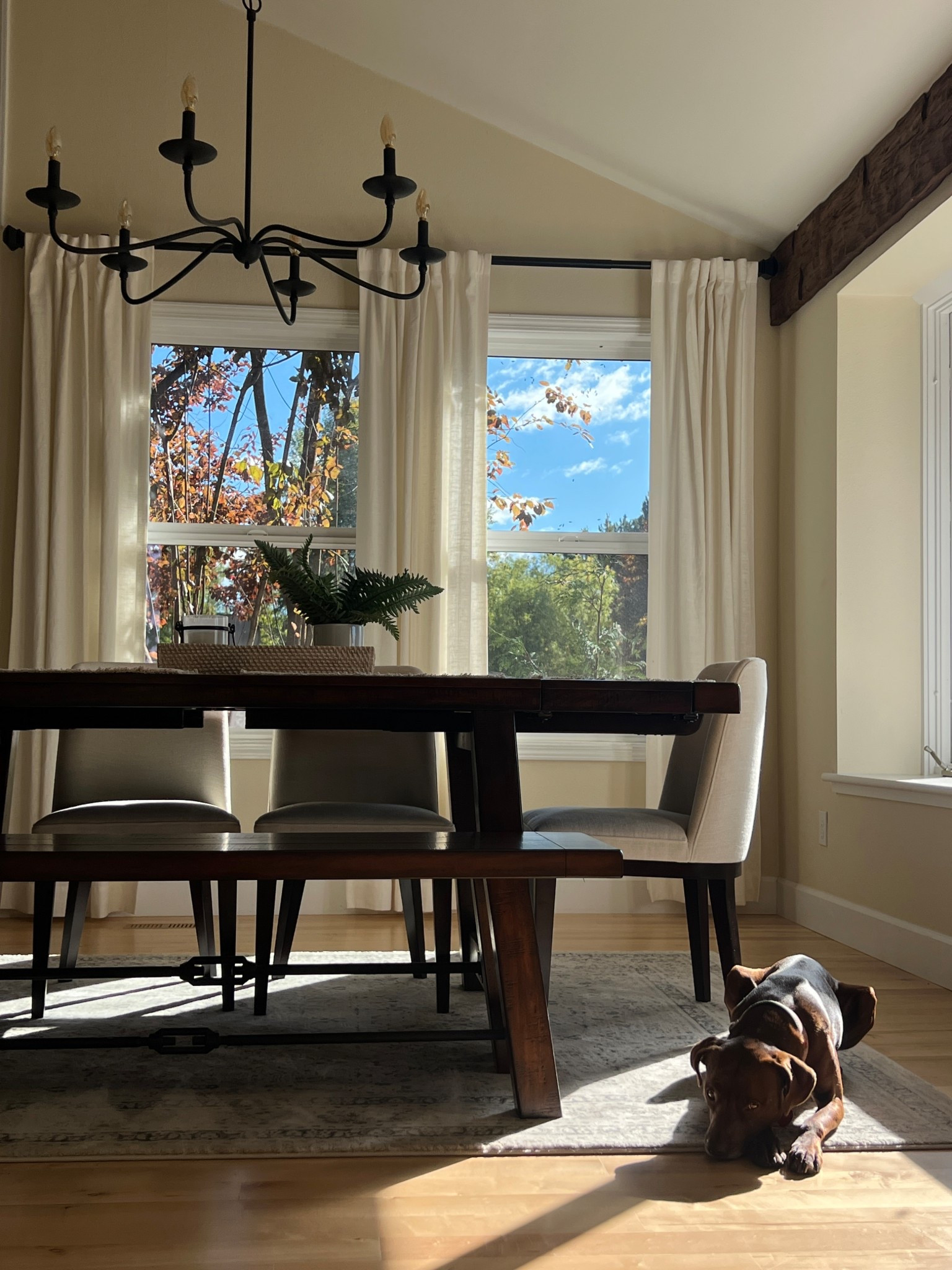 My Favorite spot in the house! Loving these rustic farmhouse inspired pottery barn items that have made our dining room feel light and airy while incorporating textures and dark wood touches. Linked some of my other fave home products below xo

pottery barn style, farmhouse decor, rustic home decor, modern farmhouse, farmhouse aesthetic, cottagecore, neutral farmhouse, vintage rustic, warm farmhouse, cozy rustic 

 #LTKSeasonal #LTKHome