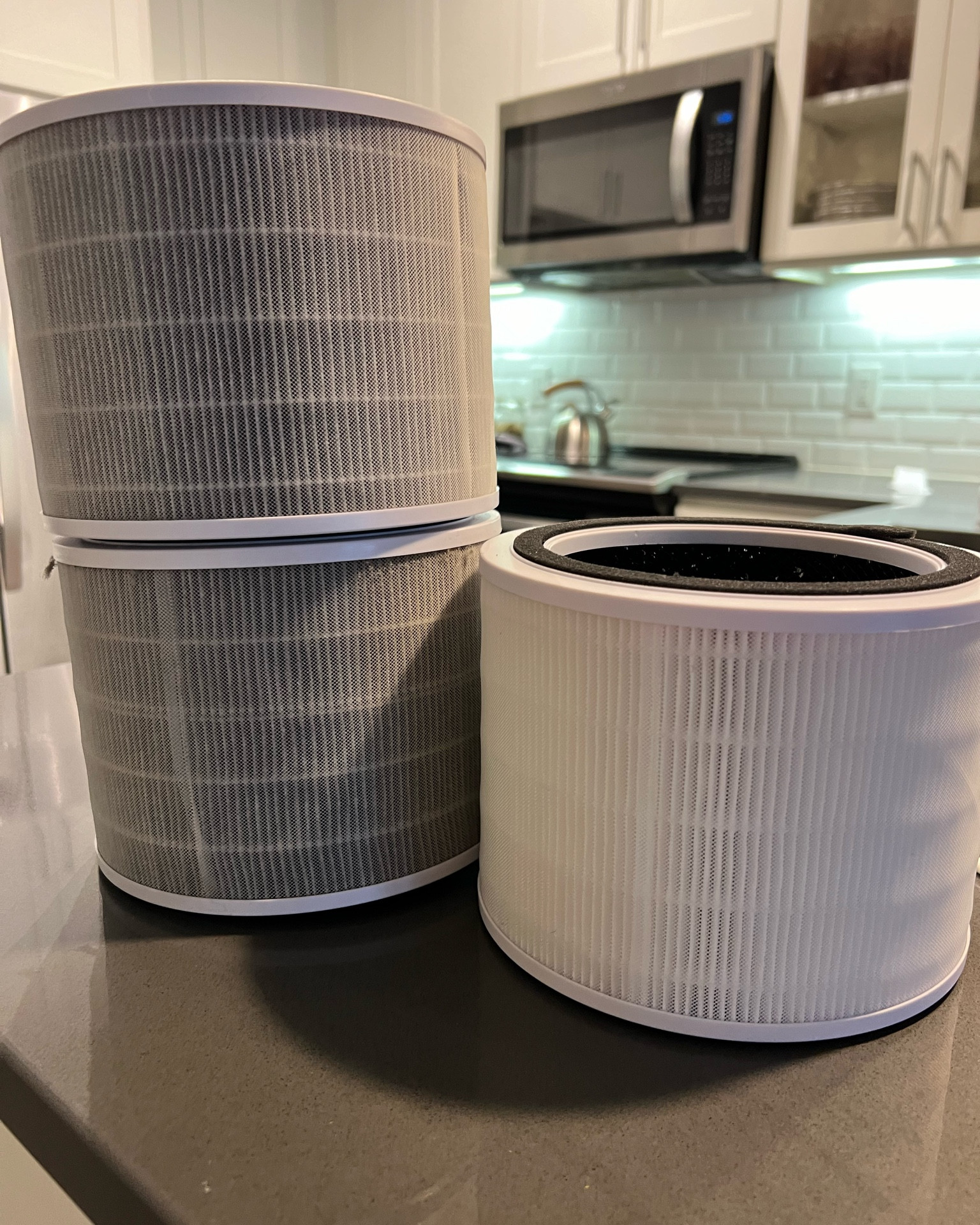 I used to think air purifiers were silly but with two dogs + Texas allergies I caved last year. 
The left is my filters after 6 weeks- the right is the new one… obsessed with mine because I can control it on my phone! 

#LTKSeasonal #LTKHome