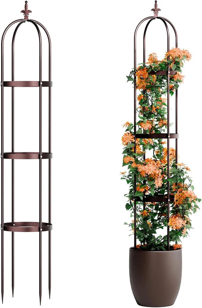 Sohvi Obelisk Trellis for Climbing Plants Outdoor, Garden | Wayfair North America