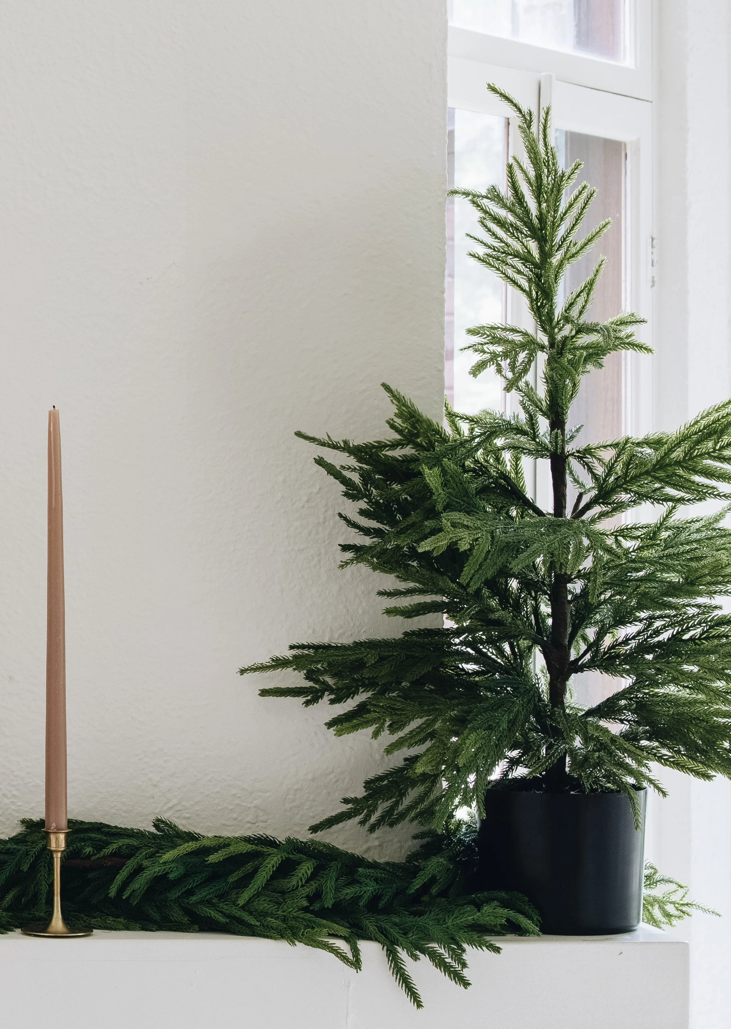 Real Touch Potted Norfolk Pine Tree | Afloral | Afloral