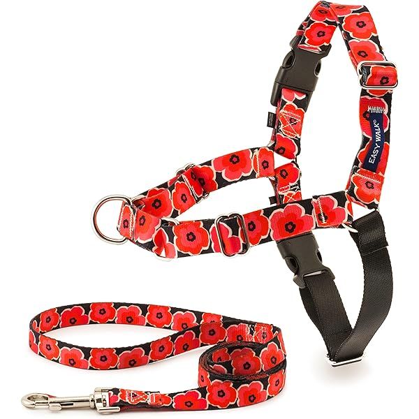 PetSafe Chic Gentle Leader Headcollar, No-Pull Dog Collar – Perfect for Leash & Harness Training – S | Amazon (US)