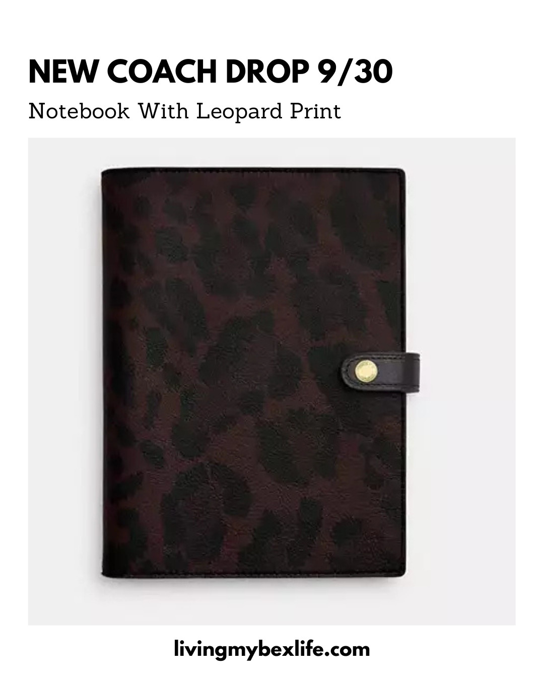 New Coach Drop 9/30 Notebook With Leopard Print 

 #LTKootd #LTKmomlife #LTKWorkwear