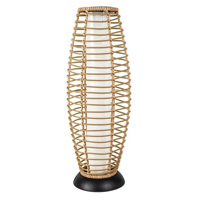 Austin 31.7'' Solar Powered Outdoor Floor Lamp | Wayfair North America