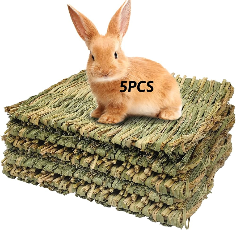 Grass Mat Woven Bed Mat for Small Animal 5 Grass Mats Bunny Bedding Nest Chew Toy Bed Play Toy fo... | Amazon (CA)