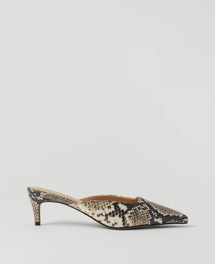 Snake Print Nip Toe Kitten Heel Mule Pump | Ann Taylor
