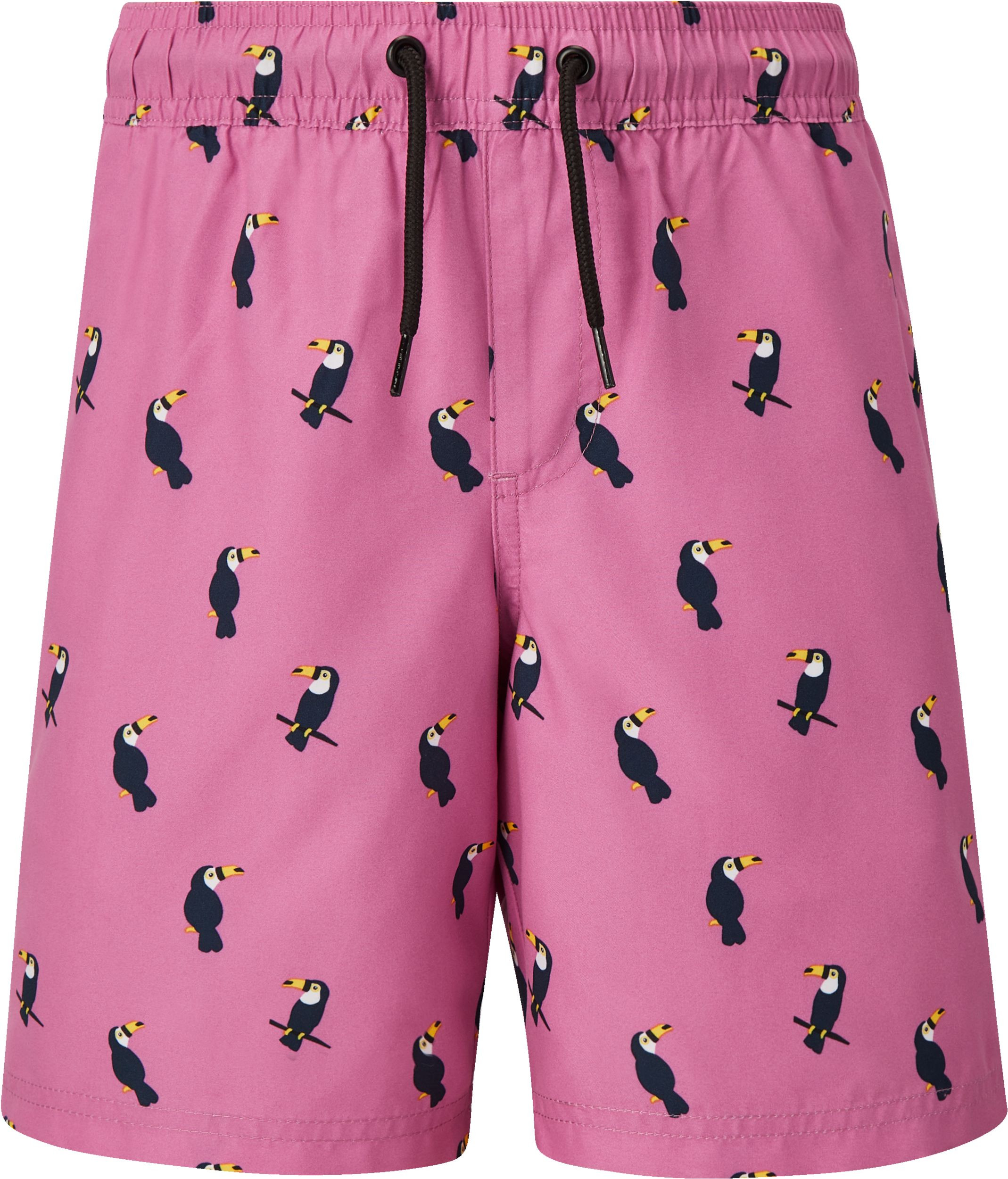 Ripzone Boys' Terrance Swim Shorts | Sport Chek