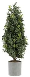 Charlton Home® Boxwood Tree in Pot | Wayfair North America