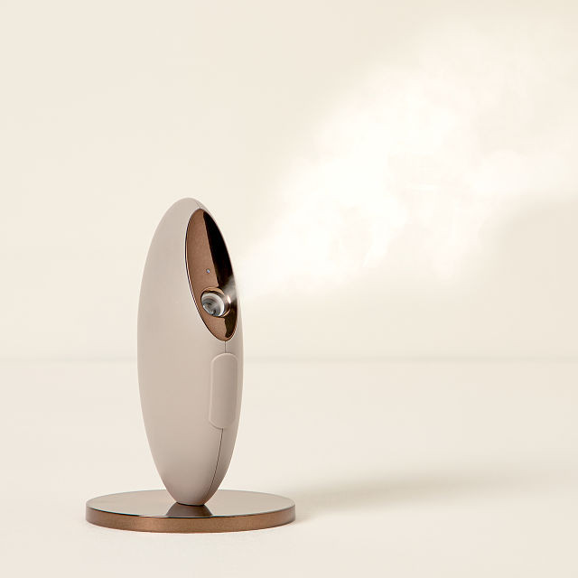 Portable Beauty Facial Mister | UncommonGoods