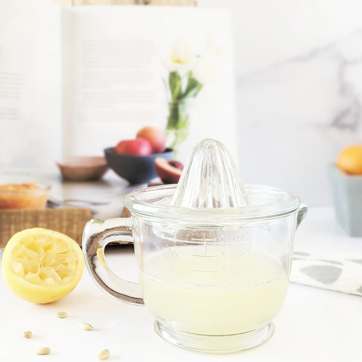 Juicer With Measuring Cup | Fresh Home + Kitchen