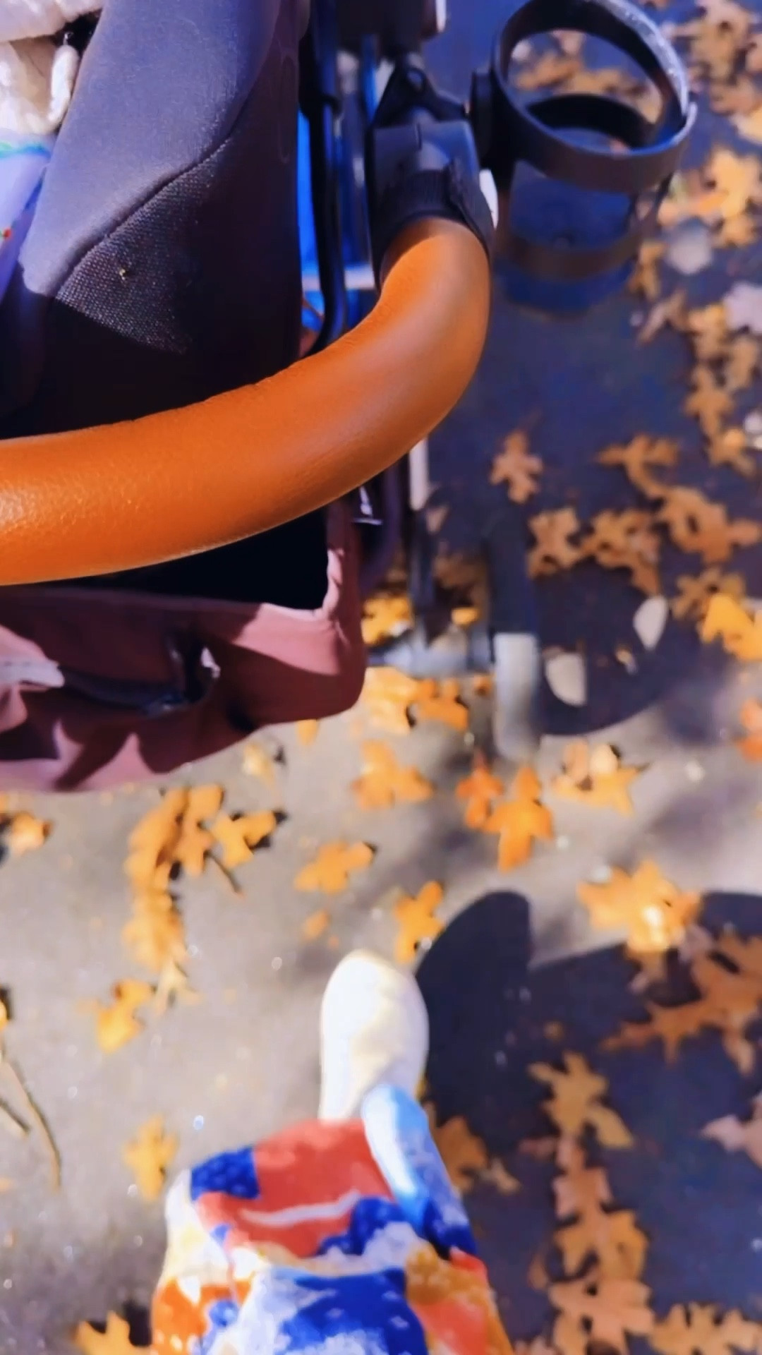 ‘Tis the season for crunchy crunch leaves 🍂🍃🍁 - the besttttt 🤩 

Dress & shoes linked below 🫶🏽

#LTKFamily #LTKSeasonal #LTKBaby