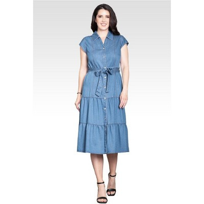 Standards & Practices Women's A-Line Tiered Denim Midi Dress Blue Rinse Medium | Target